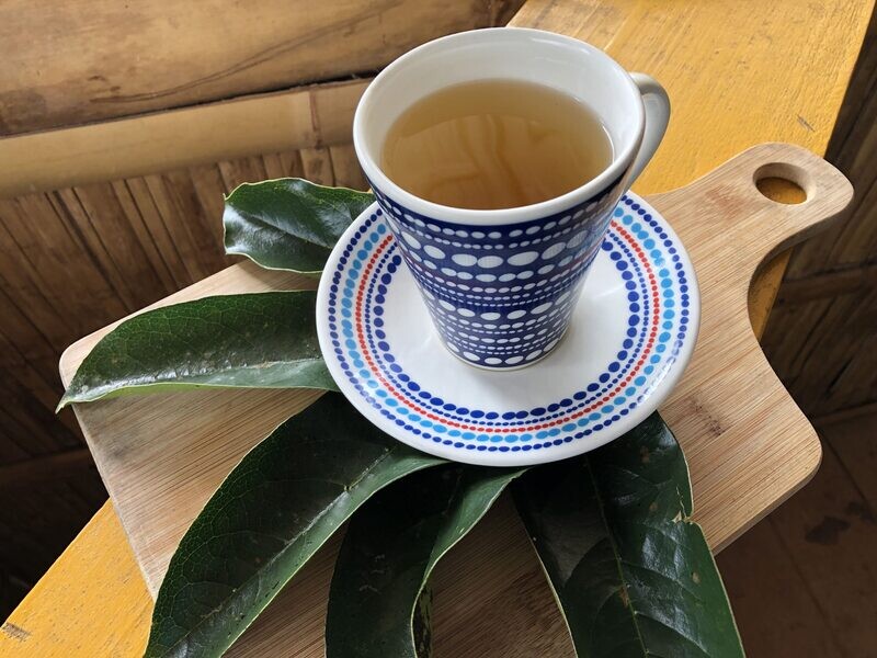 Jamaican SourSop Leaves, Great for Making Tea, and More/Organic Jamaica/Grade A Bush Tea