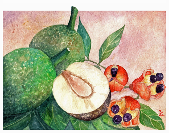 Breadfruit and Ackee Art Print, Hand-Painted by Jamaican Artist - Get Your Taste a Yard with this Artwork! Support Jamaican Creatives