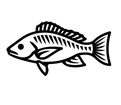 Poisson