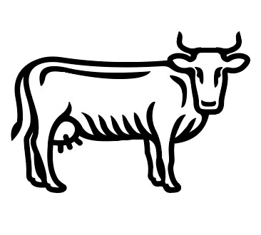 Bœuf et Veau
