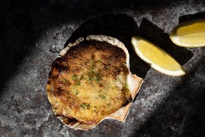 Coquilles St-Jacques