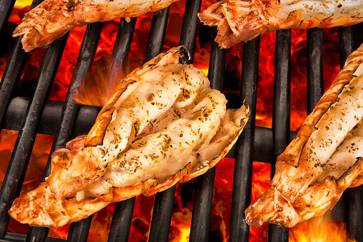Langoustine 6/8