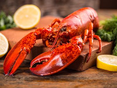 Homard entier précuit 