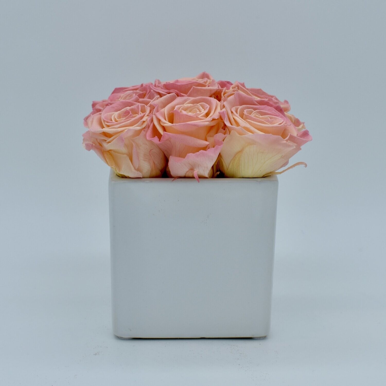 White Vase