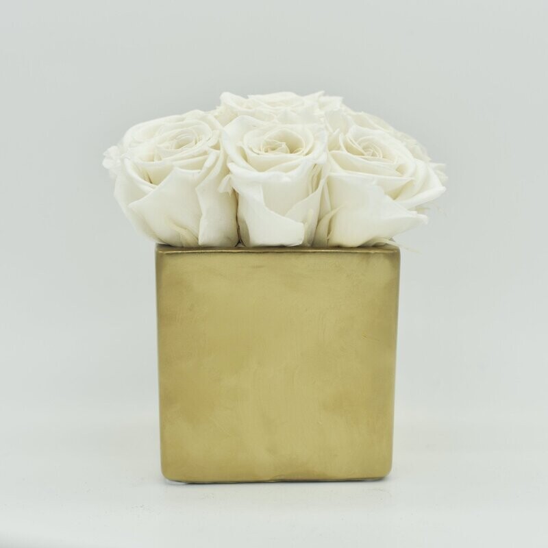Matte Gold Infini-cube