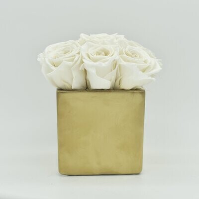 Matte Gold Infini-cube