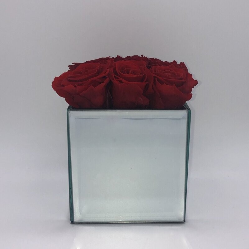 Large Mirror Infini-cube