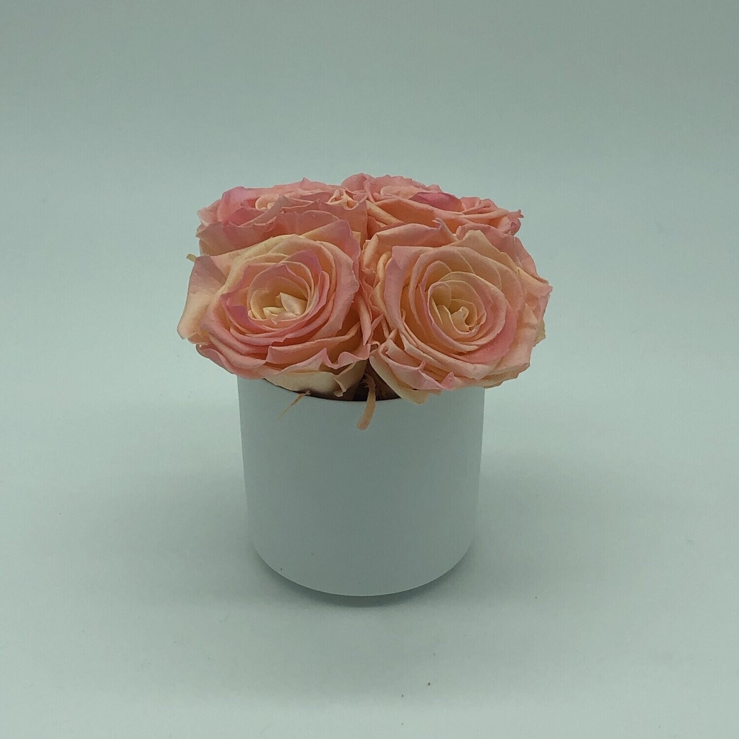 White Porcelain Vase