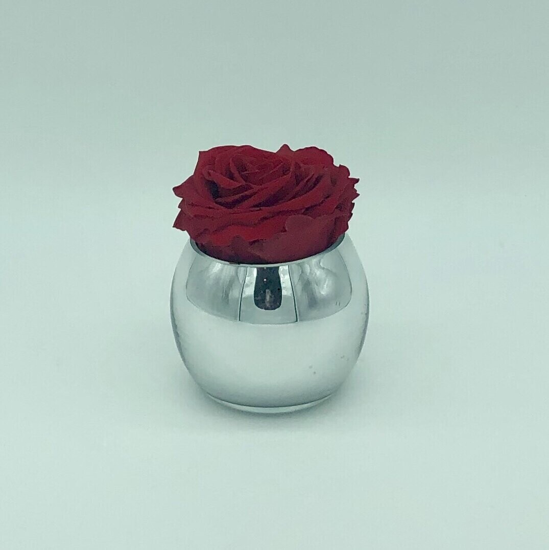 Single Mirror Vase