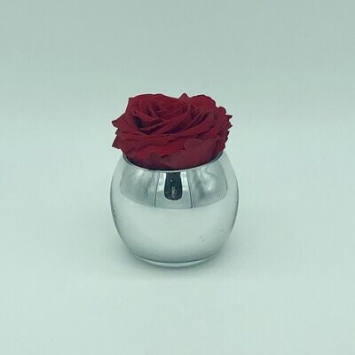 Single Mirror Vase