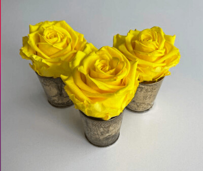 Hostess Gift