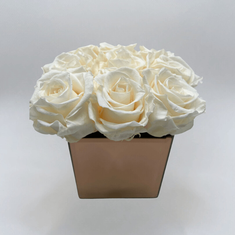 Cream Rose Copper Cube