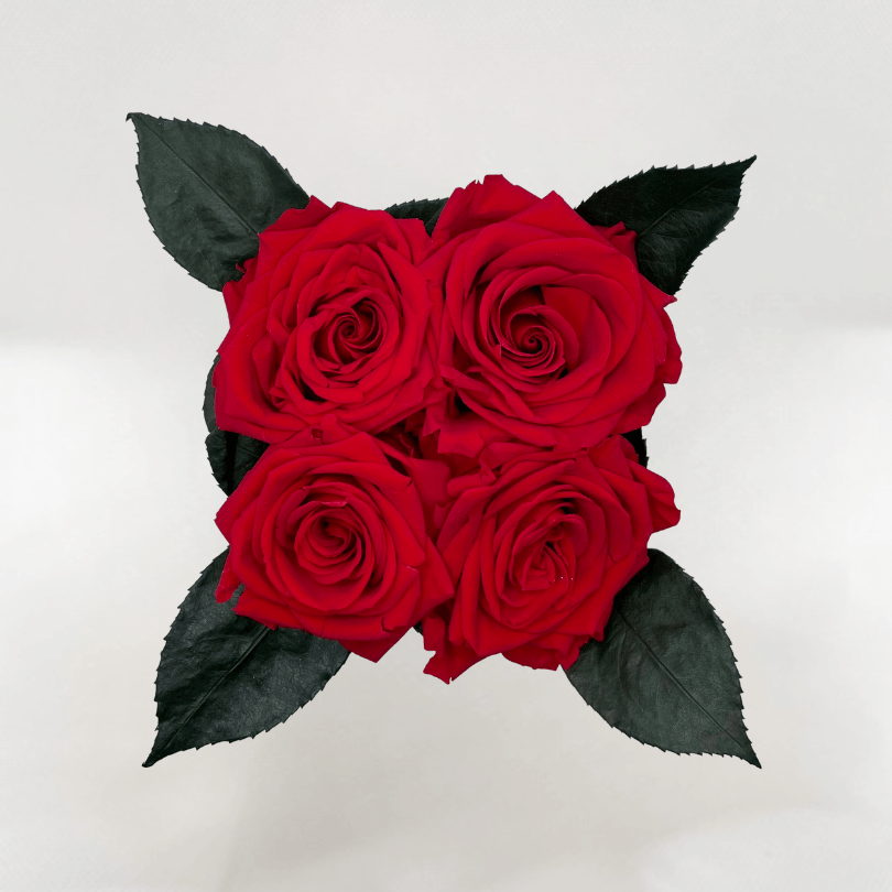 Red Rose Copper Infini-cube