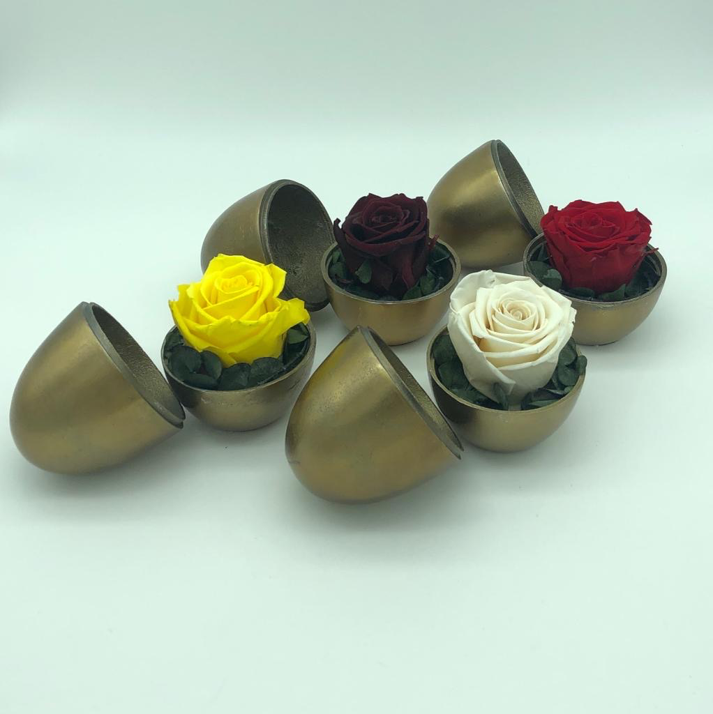 Bronze Egg - Single Rose