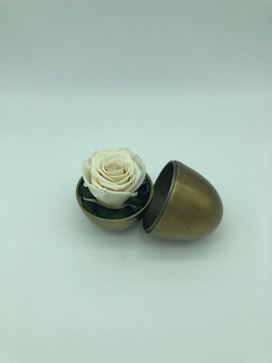 Bronze Egg - Single Rose