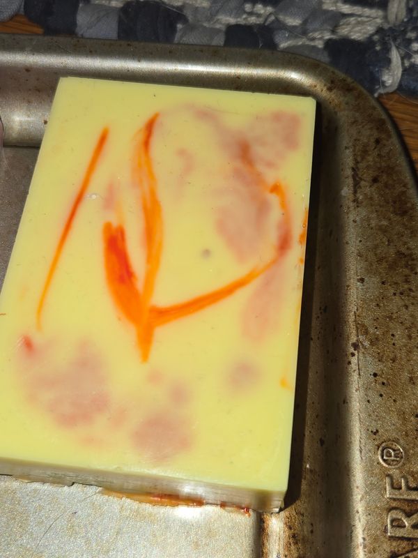 Citrus Burst Soap Bar