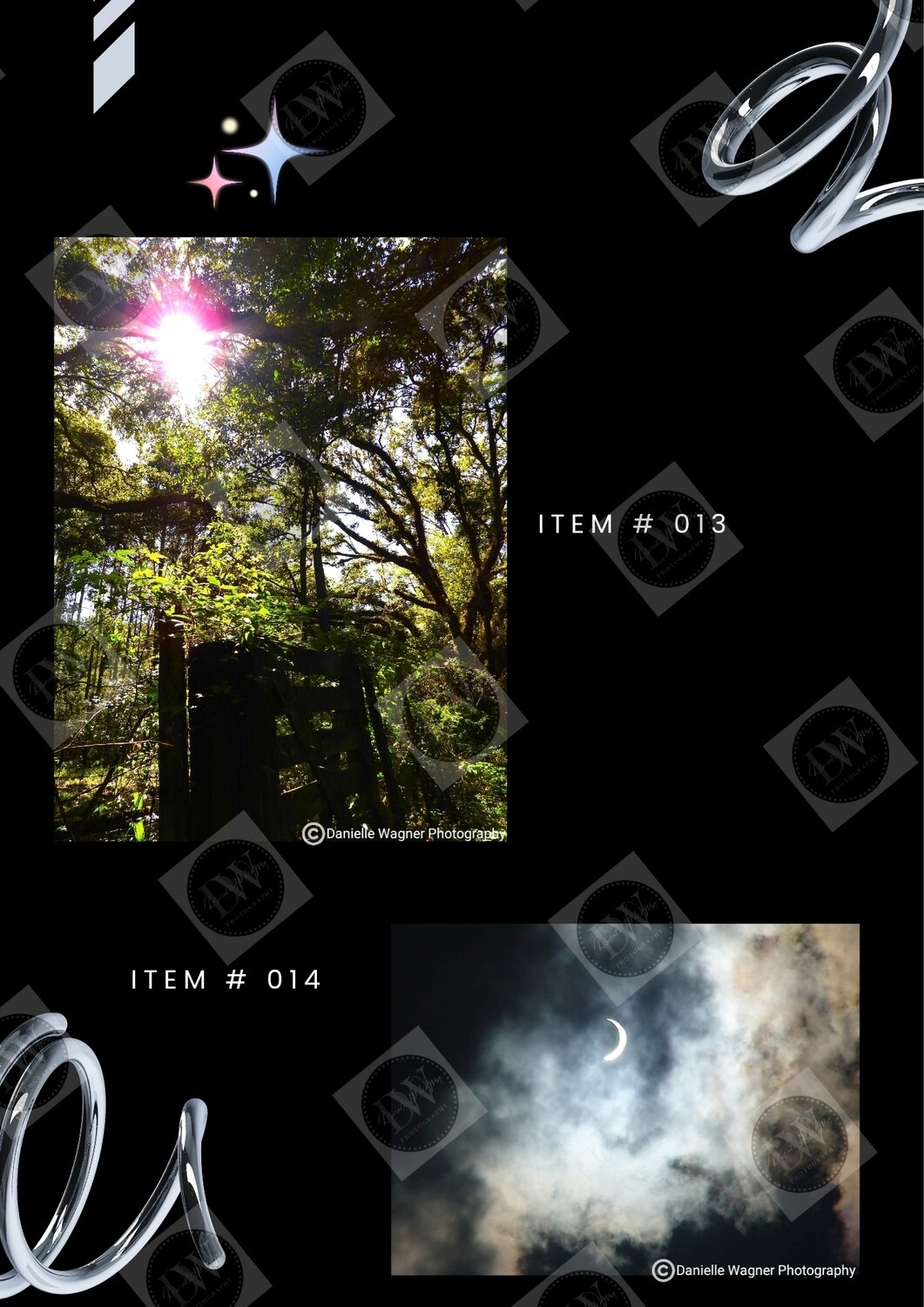 Canvas &amp; Poster Collection Portfolio