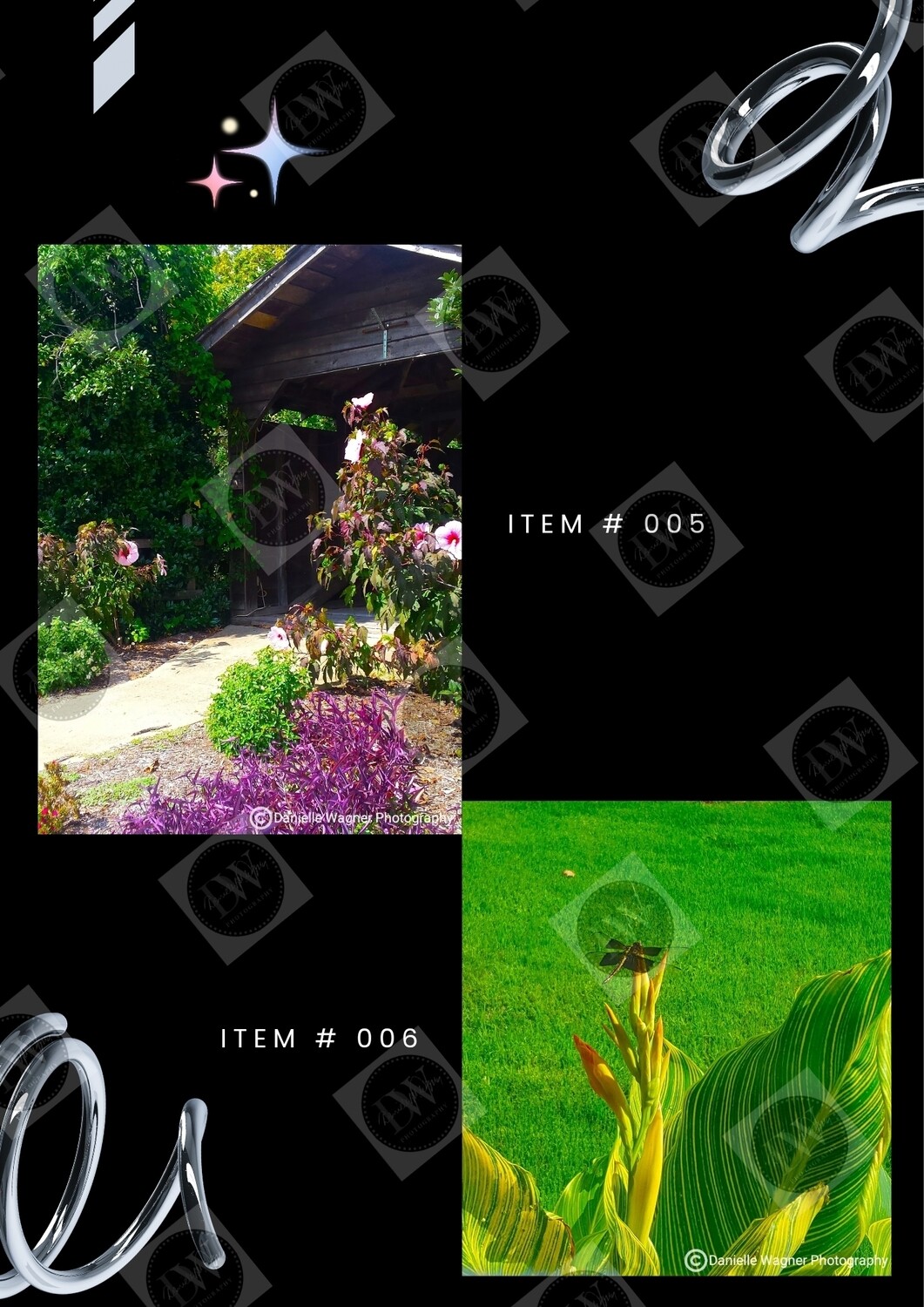 Canvas &amp; Poster Collection Portfolio