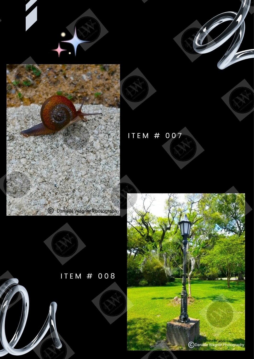 Canvas &amp; Poster Collection Portfolio