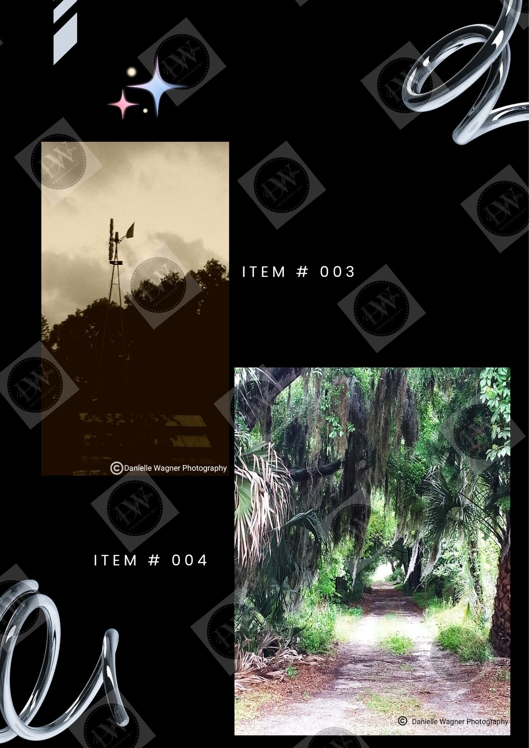 Canvas &amp; Poster Collection Portfolio
