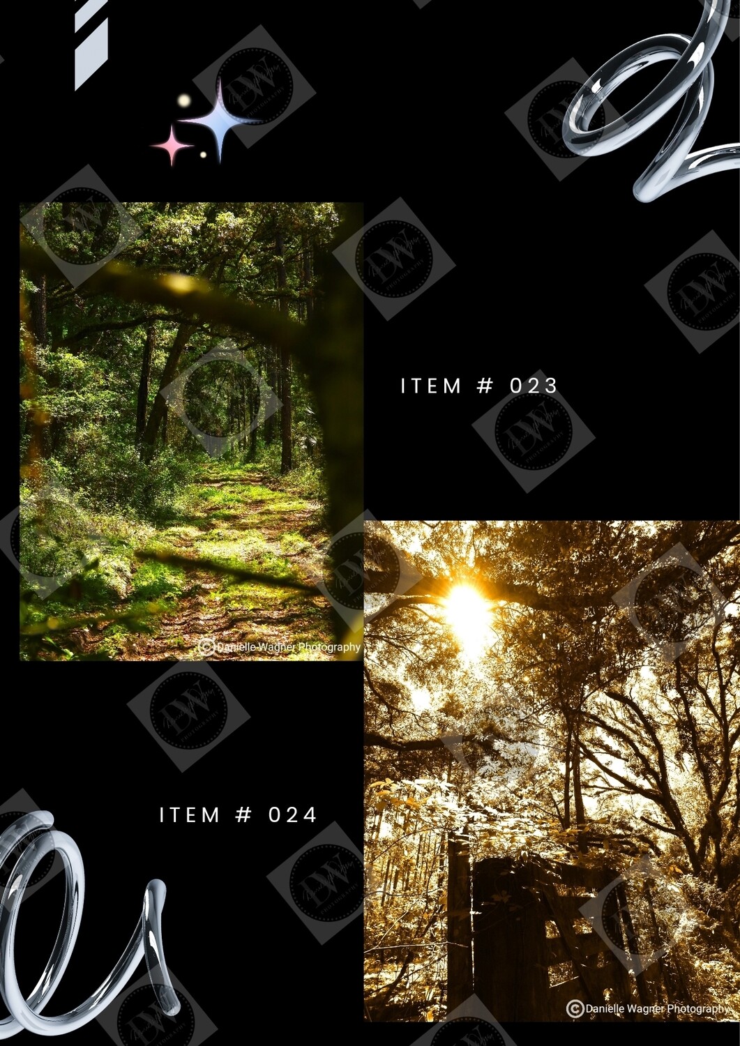 Canvas &amp; Poster Collection Portfolio