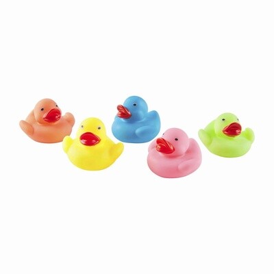 Light Up Duck Bath Toy Set