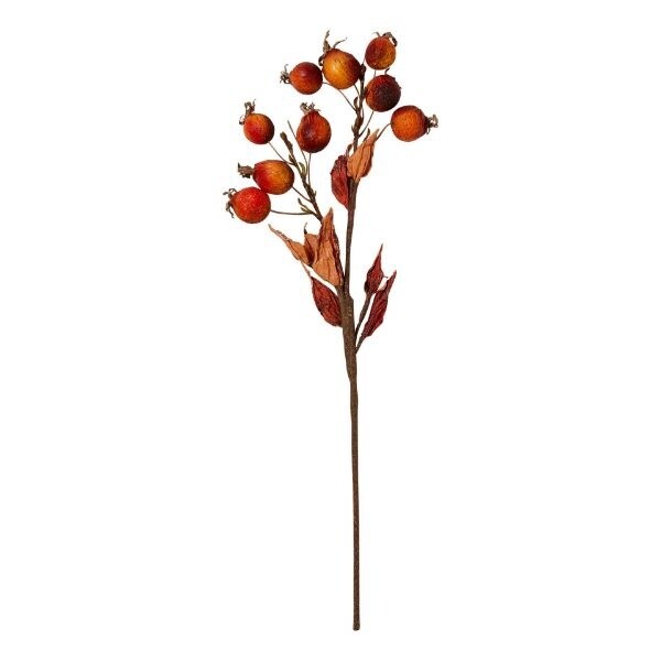 Rosehip Spray