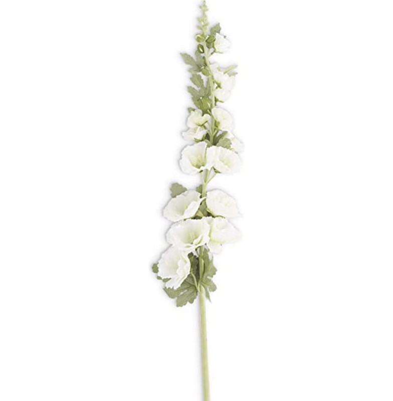 Hollyhock Stem