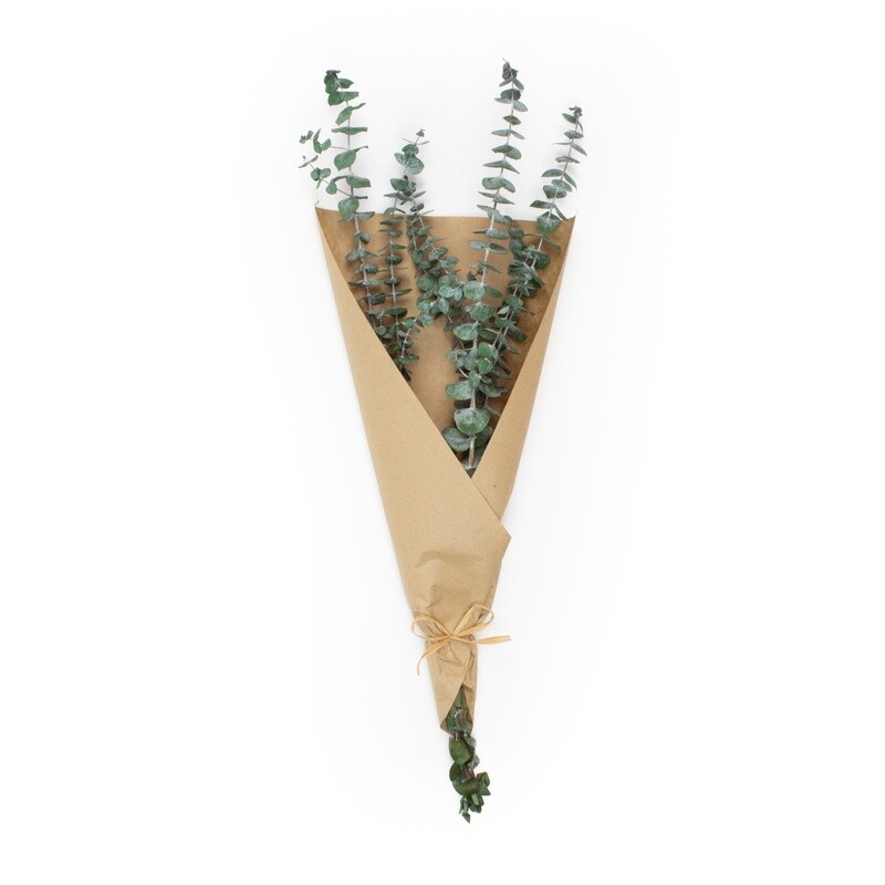 Baby Eucalyptus 4oz Bouquet in paper