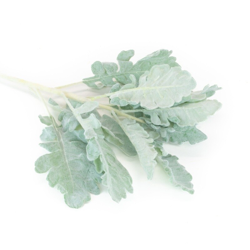 Dusty Miller 17&quot; Spray