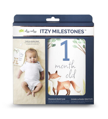 Itzy Ritzy Moments Double-Sided Milestone Cards