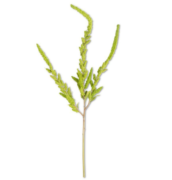 37&quot; Green Amaranthus Stem