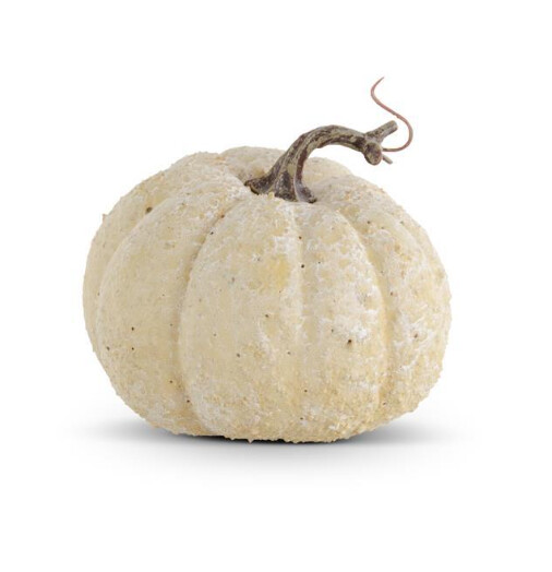 5.25&quot; Whitewashed Textured Pumpkin, Colour: Cream