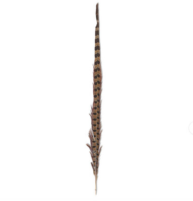 Ring Neck Feather Stem