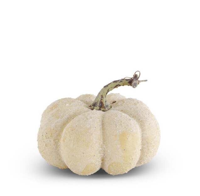 5.5&quot; Whitewashed Textured Pumpkins, Colour: Cream