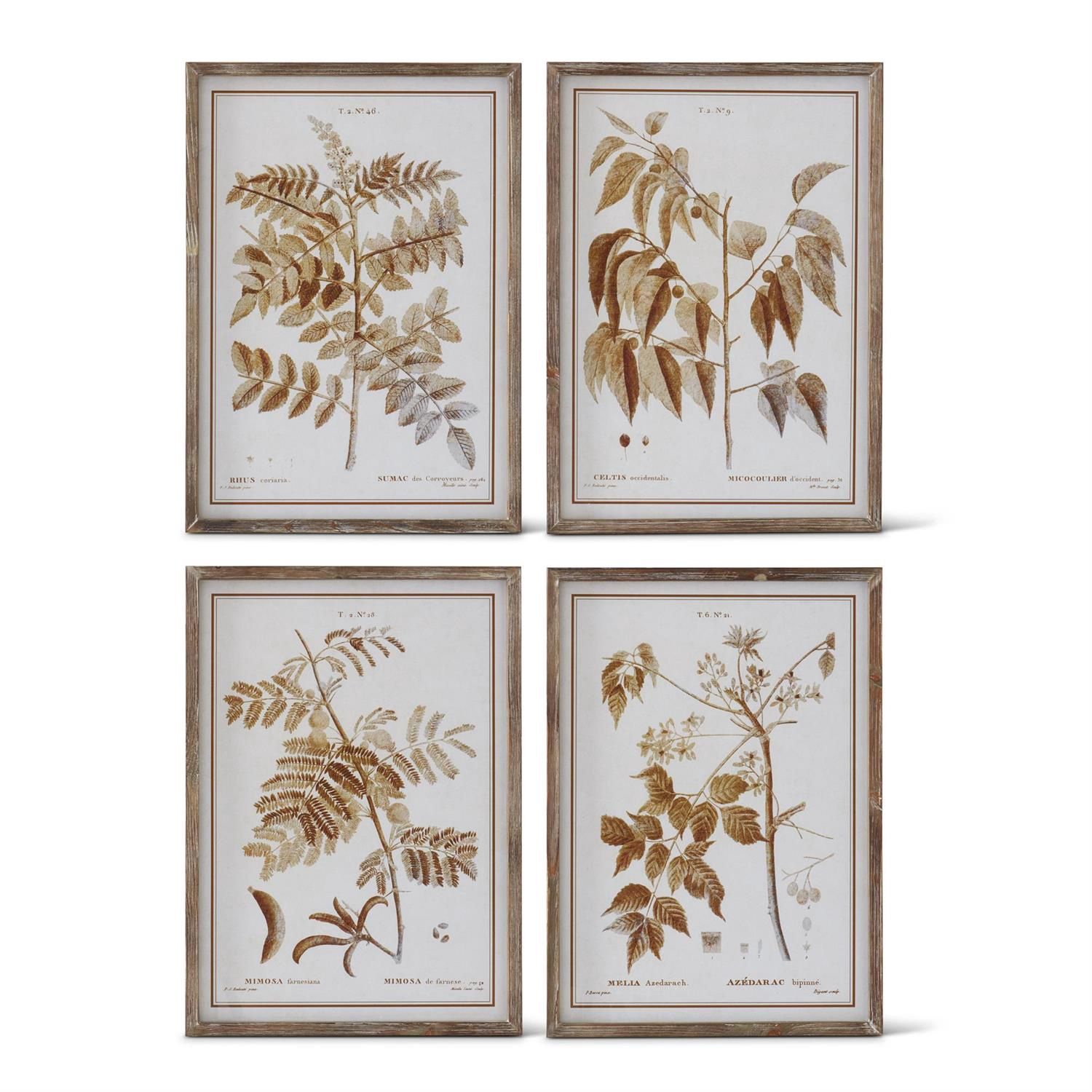 Brown Arbor Prints With Wood Frame