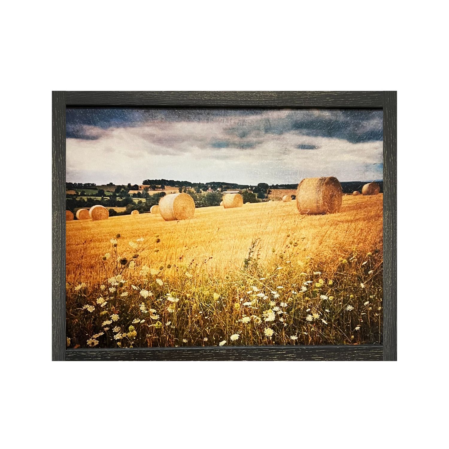 Hayrolls Wall Art
