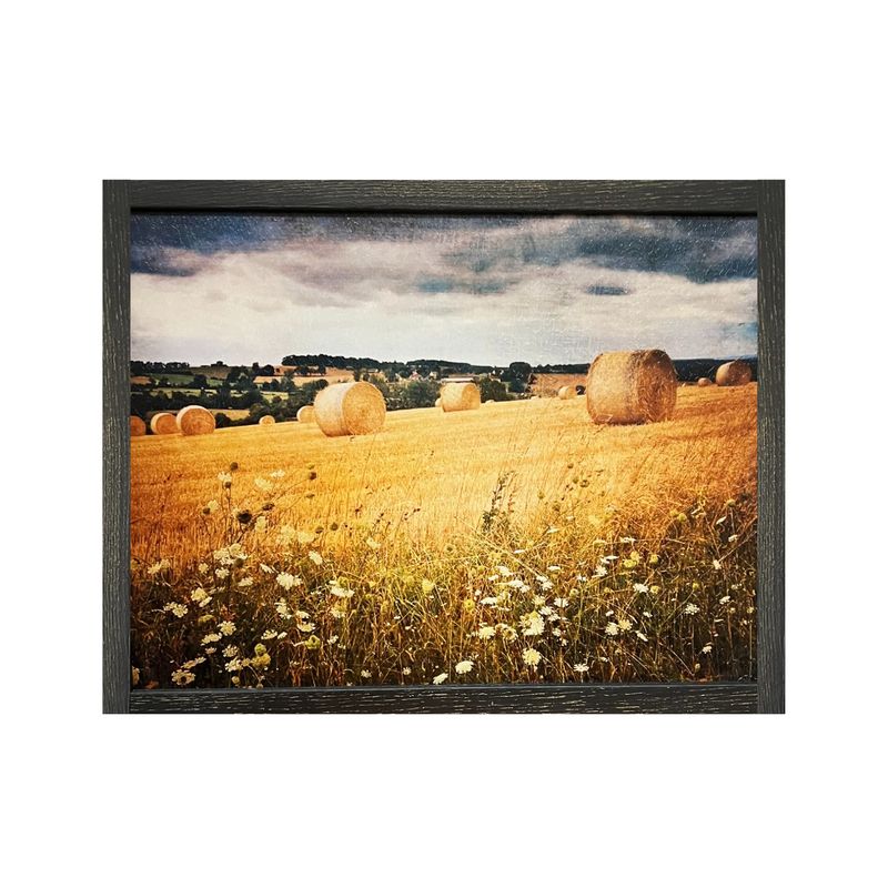 Hayrolls Wall Art