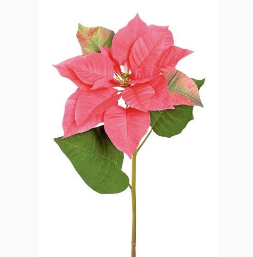 Hot Pink Poinsettia Spray