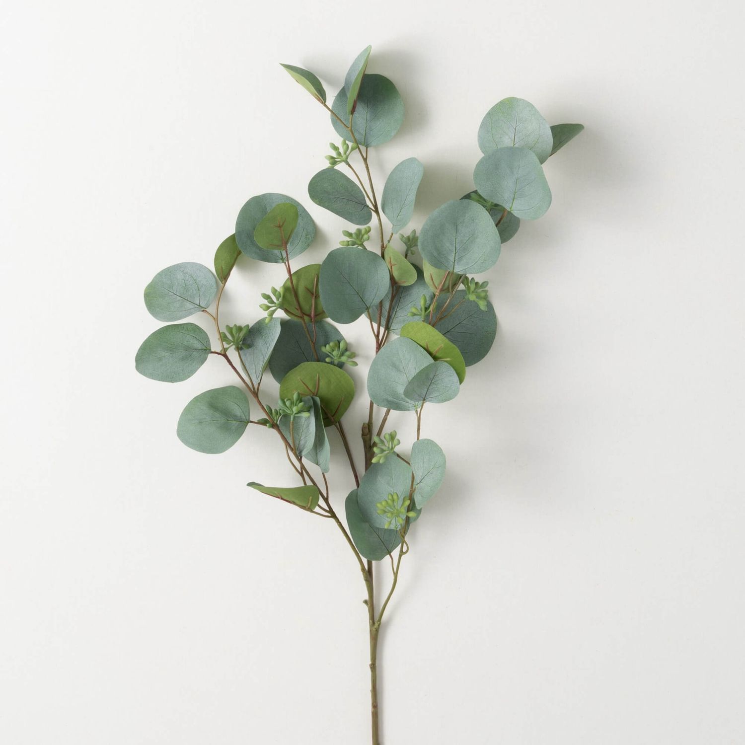 Silver Dollar Eucalyptus Spray