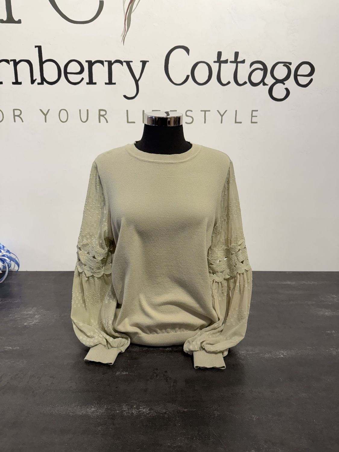 Keren Hart Crochet Sheer Sleeve Sweater
