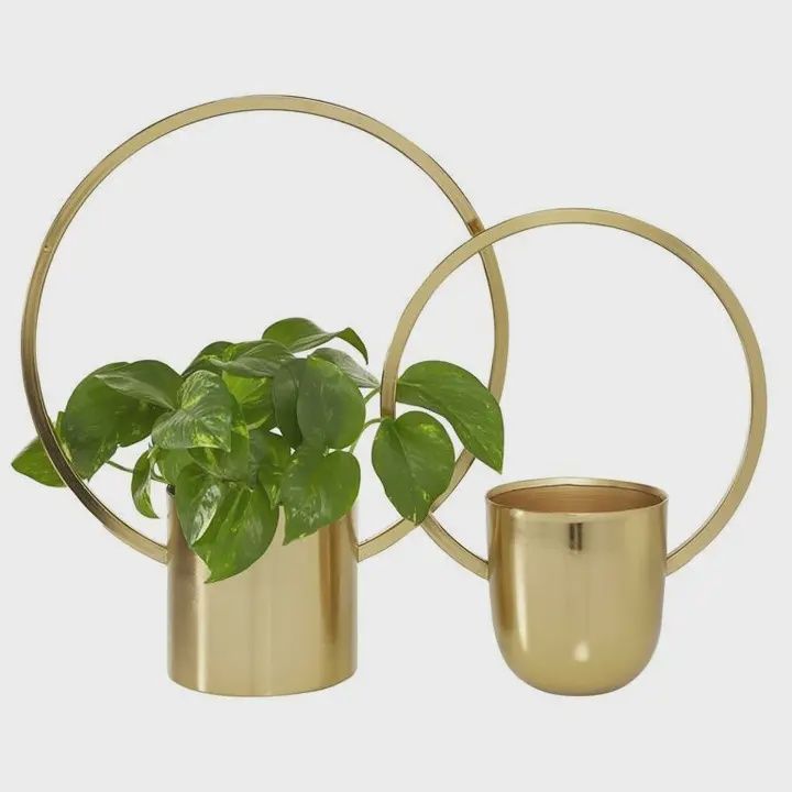 Gold Ring Planter