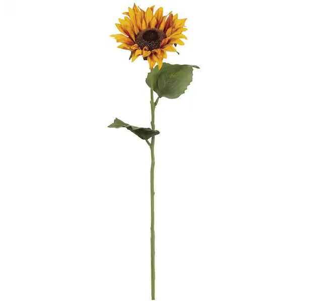 Sunflower Stem