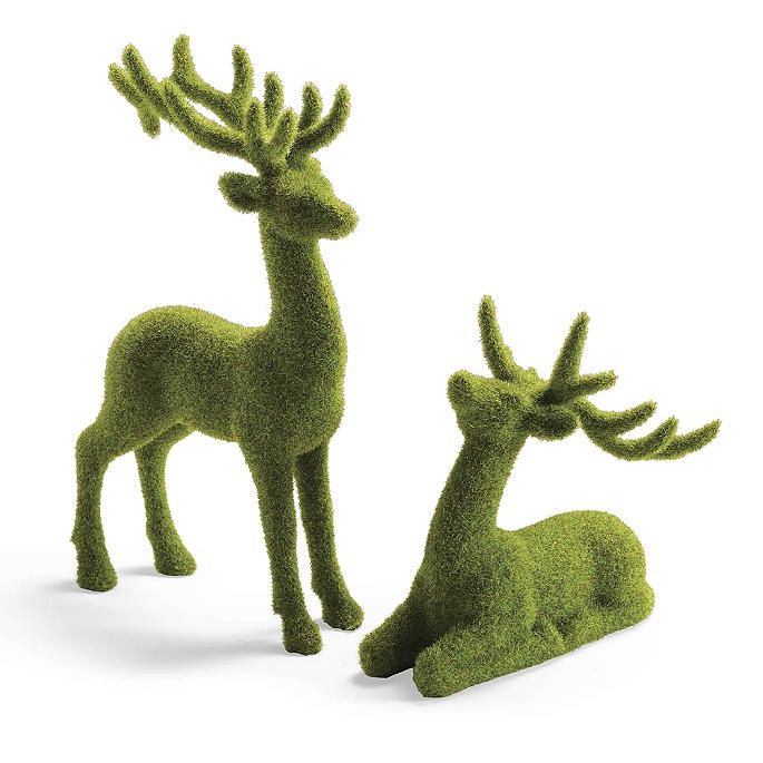 Moss Deer