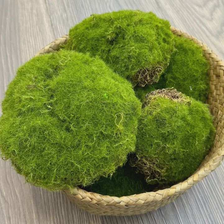 Lifelike Moss Ball Vase Filler