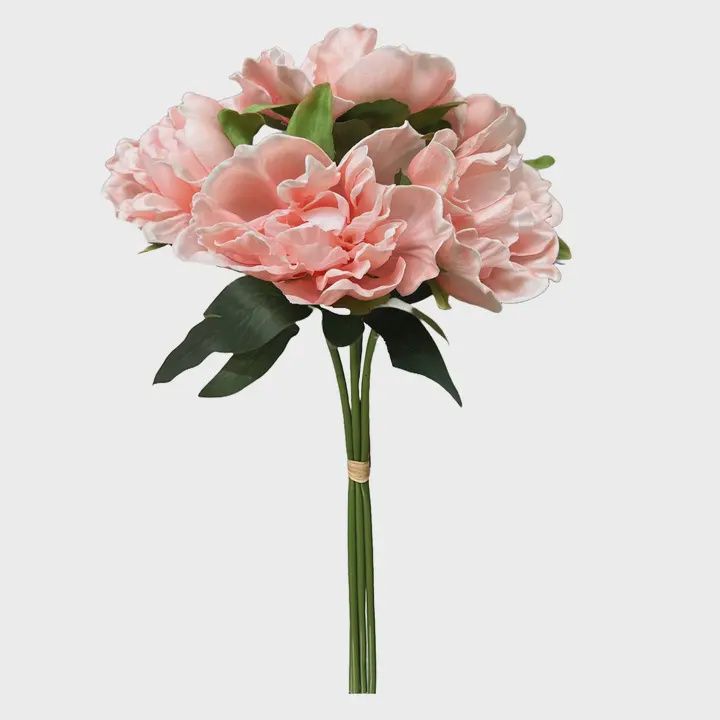 Peony Blossom