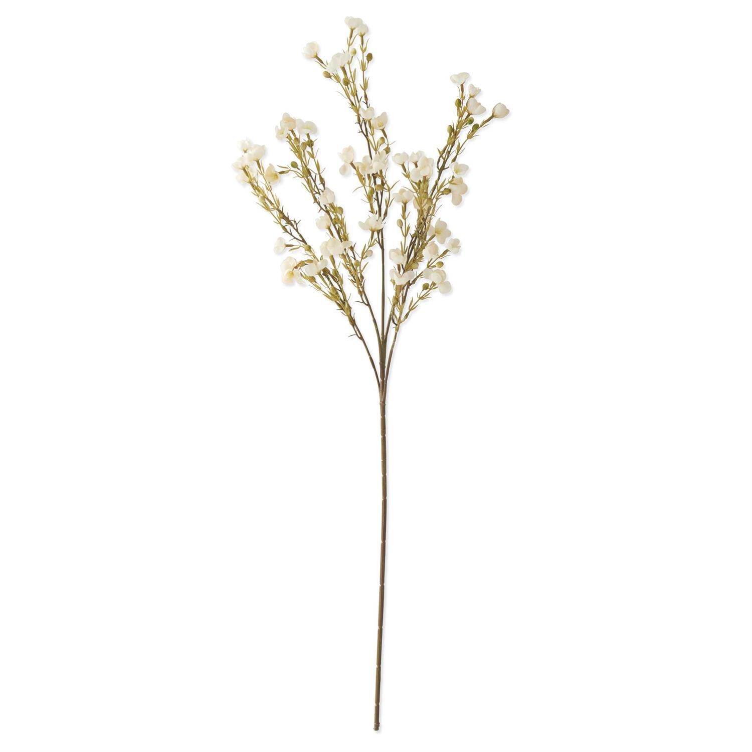 White Chamelaucium Spray