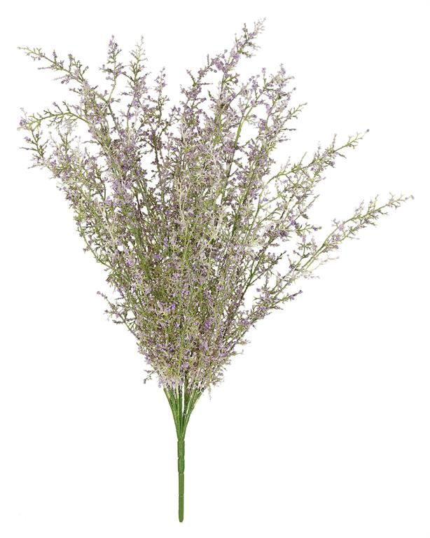 Tiny Berry Grass Bush