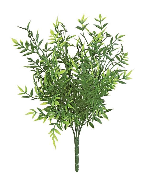 Green Mini Ruscus Bush