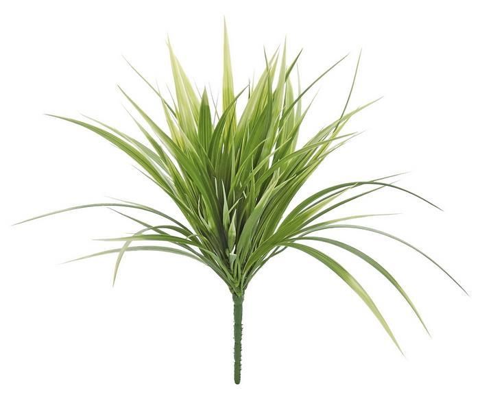 Green &amp; Cream Wild Grass Bush